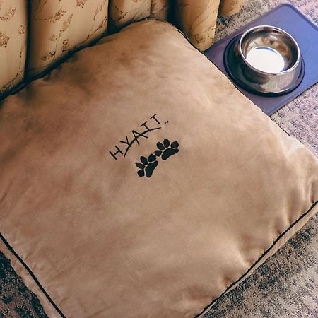 Hyatt At Olive 8 Hotel Seattle Bagian luar foto